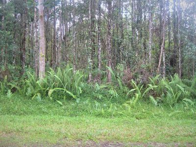 Pahoa Rd, Pahoa, HI, 96778