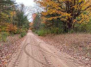 16408 220th Ave, Leroy, MI 49655