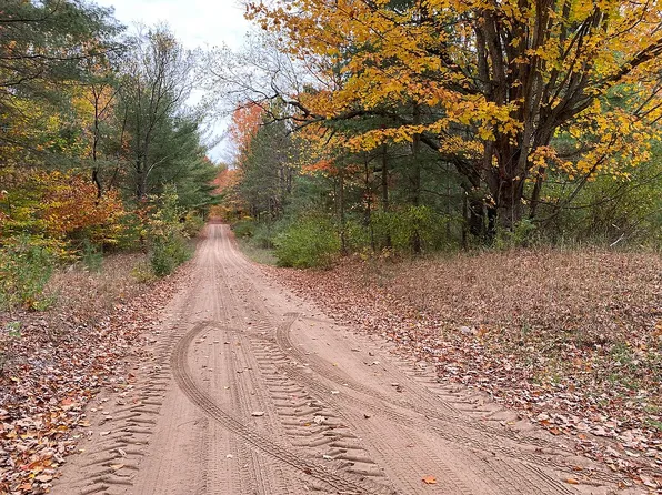 16408 220th Ave, Leroy, MI 49655