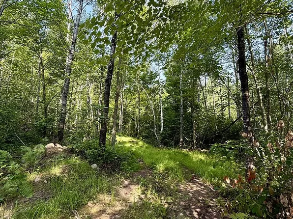 8 E County Road T, Danbury, WI 54830
