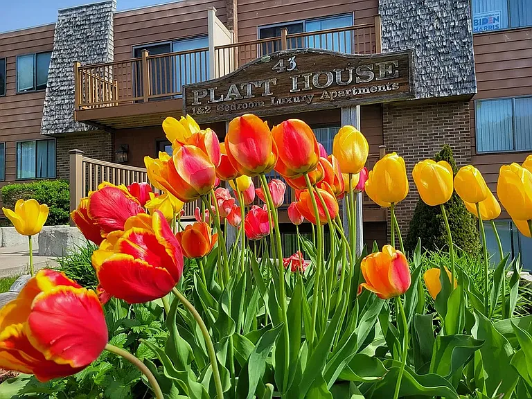 Platt House — Photo 13