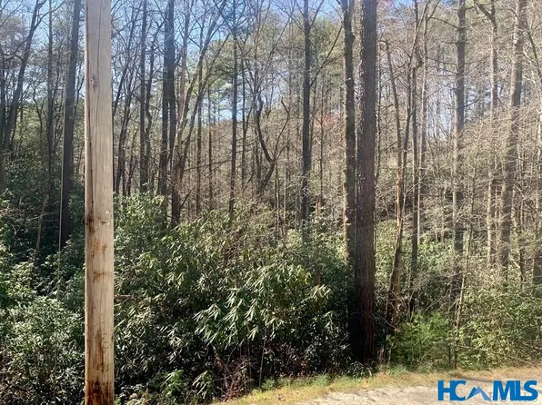 22 Double Creek Drive, Brevard, NC 28712