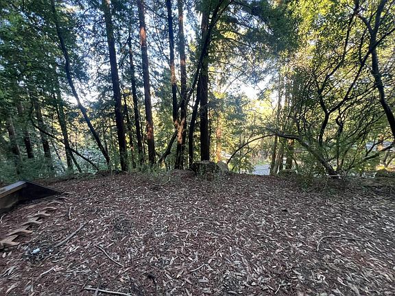 3rd image of 559 Patrol Rd