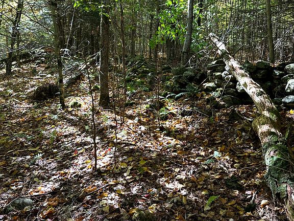 3rd image of 0 Moore Hill Lot 1 Road