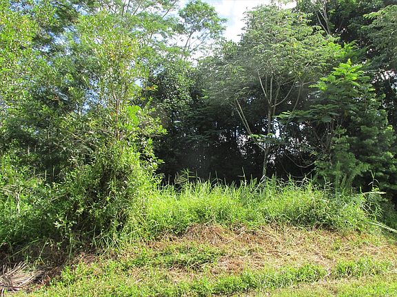 2nd image of Lehua St Lot 6973
