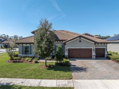 12399 Gulf Pine Spur, Odessa, FL, 33556