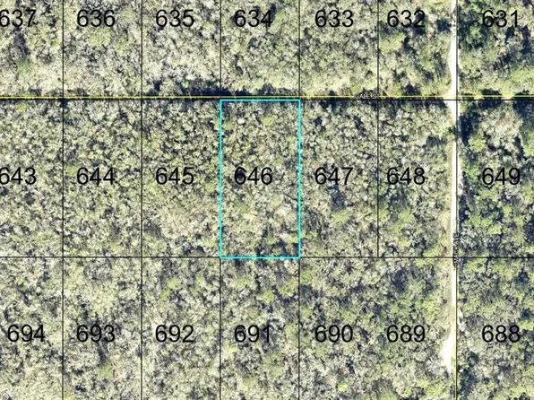 646 GALE STREET, HASTINGS, FL 32145
