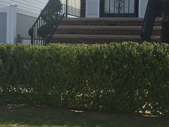 3rd image of 16051 88th St