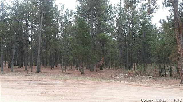 2nd image of 8865 Whispering Pine Trl