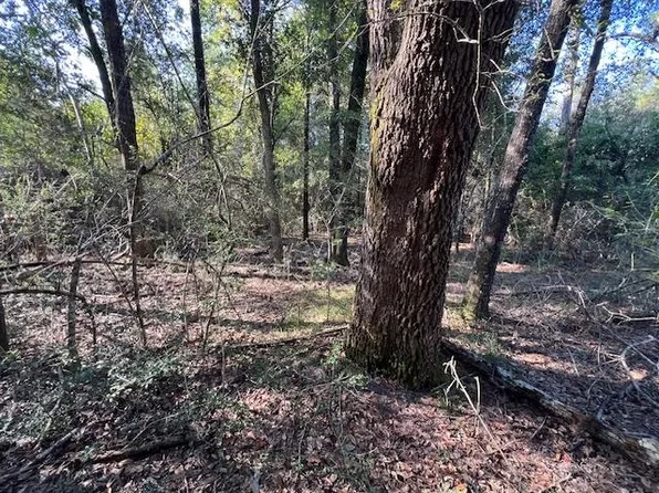 Cravey Bridge Rd, Florala, AL 36442