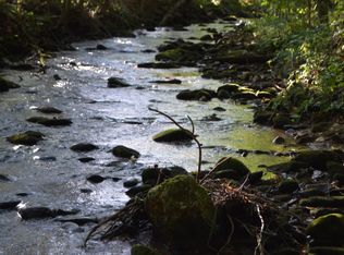 95 Pepper Ln, Ellijay, GA 30536