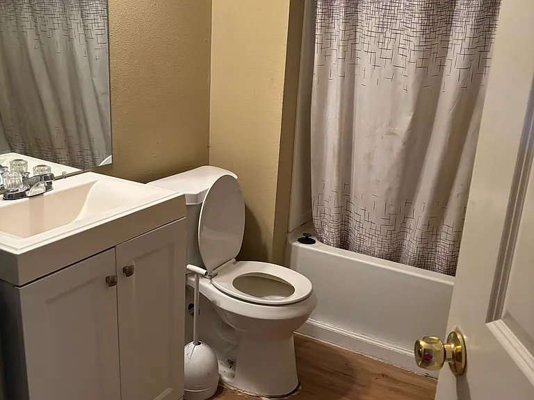 8175 San Carlos St — Photo 3