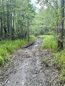 Willoughby Dr, Bonifay, FL, 32425