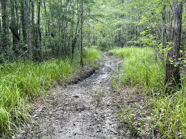 Willoughby Dr, Bonifay, FL 32425