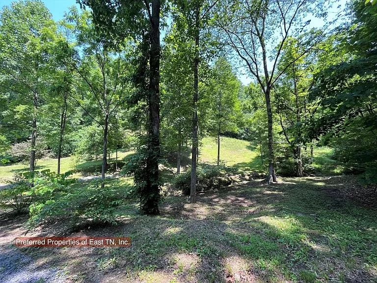 709 Brown Mountain Rd — Photo 26