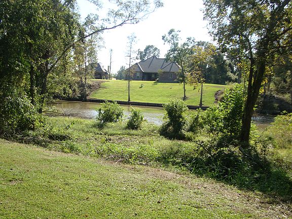 view from livingroom