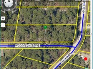 11185 Woodpecker Ave, Weeki Wachee, FL 34614