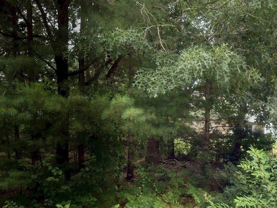 1st image of 59 Park Ave