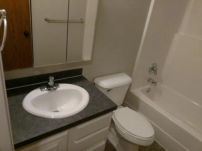 Bathroom 1