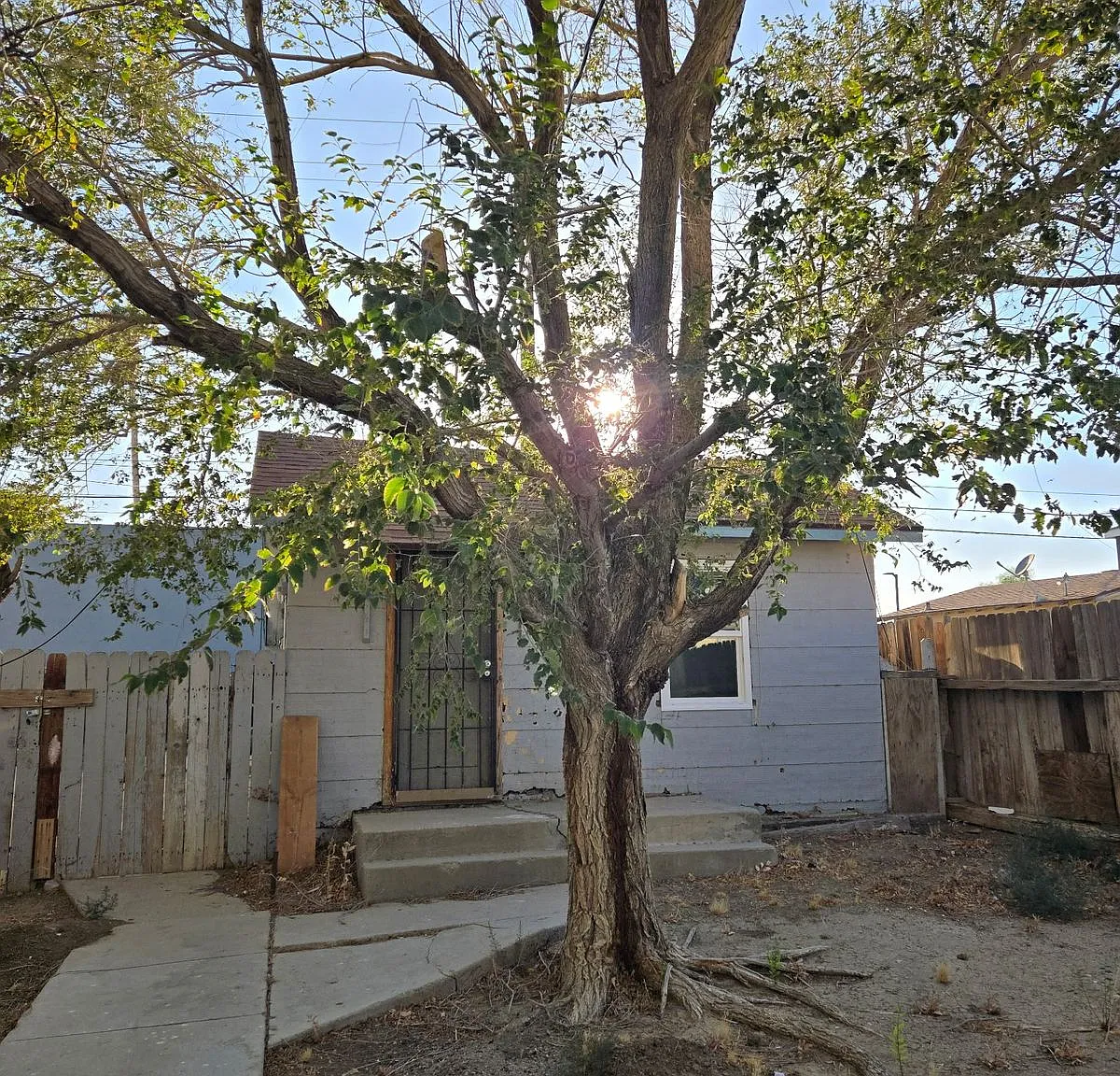 1 bed, $1,100 — Photo 1