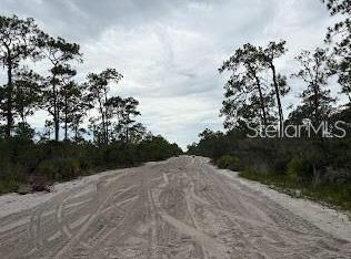 5932 Canopy Rd Lot 110, Sebring, FL 33875