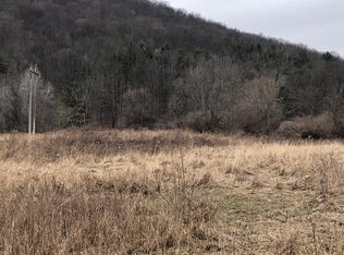 0 Olcott Rd N, Big Flats, NY 14814