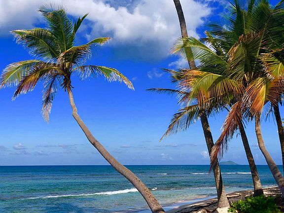 5th image of D204 Pelican Cove