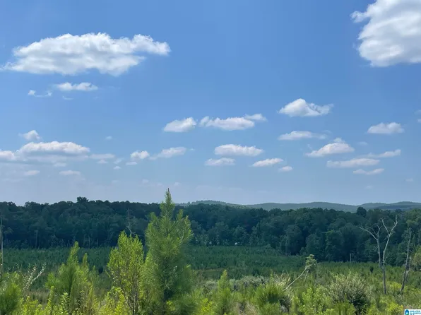 3 Highway 5 #3, West Blocton, AL 35184