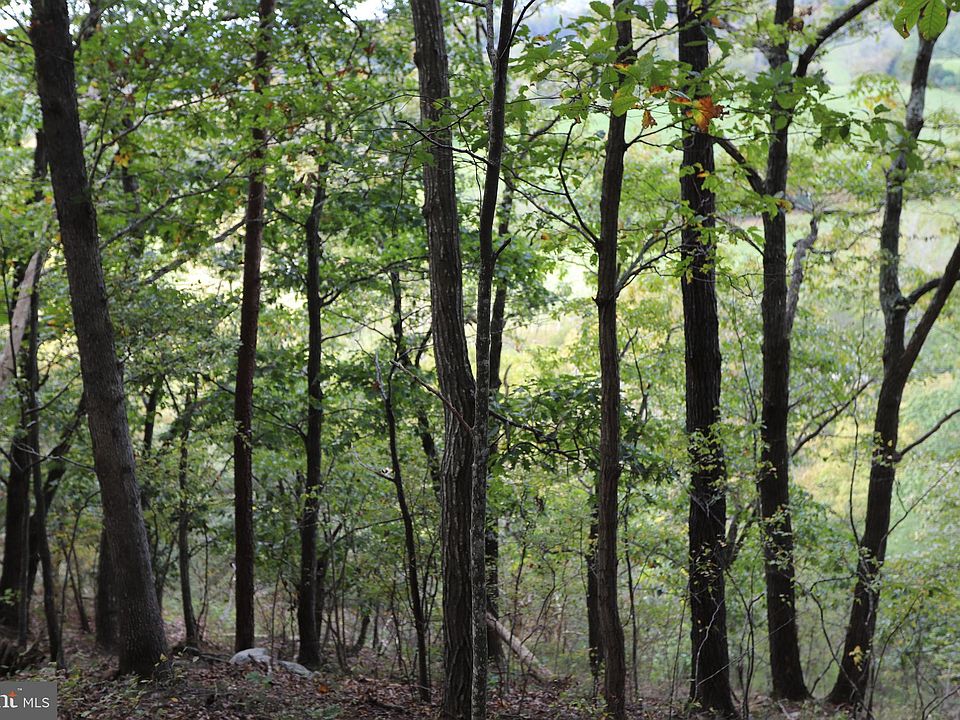 0 Powell Mountain Ln, Woodstock, VA 22664 Zillow