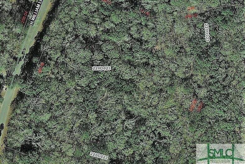 2nd image of 0 H Williams Lane