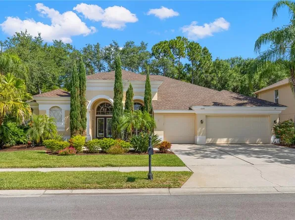 5270 Karlsburg Pl, Palm Harbor, FL 34685