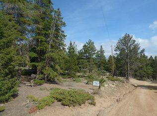 43 Tilghman Rd, Ward, CO 80481