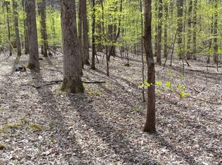 M97 Sleepy Hollow Rd, Ellijay, GA 30536