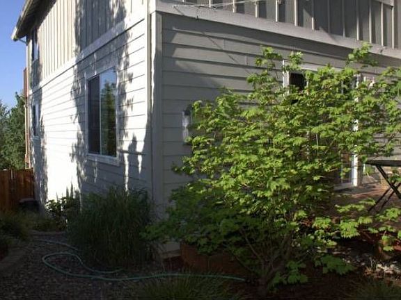 Back Yard Area