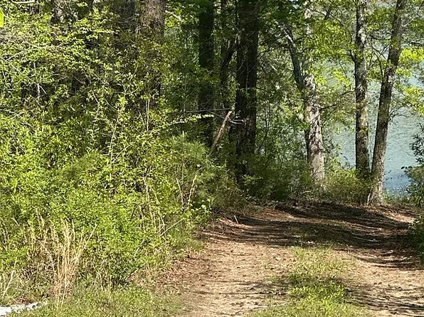 186 John Henry Rd, Shirley, AR 72153