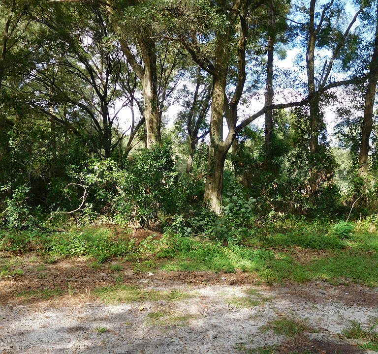 1st image of 0 SE 46th Ave