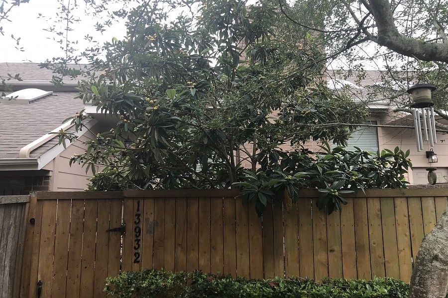 1st image of 13932 Hollowgreen Dr