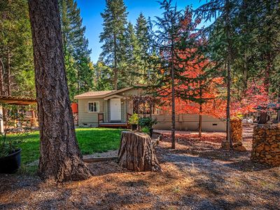 8323 Wagon Trl, Shingletown, CA, 96088