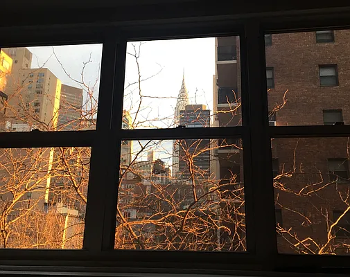 Rented by Owner | media 3