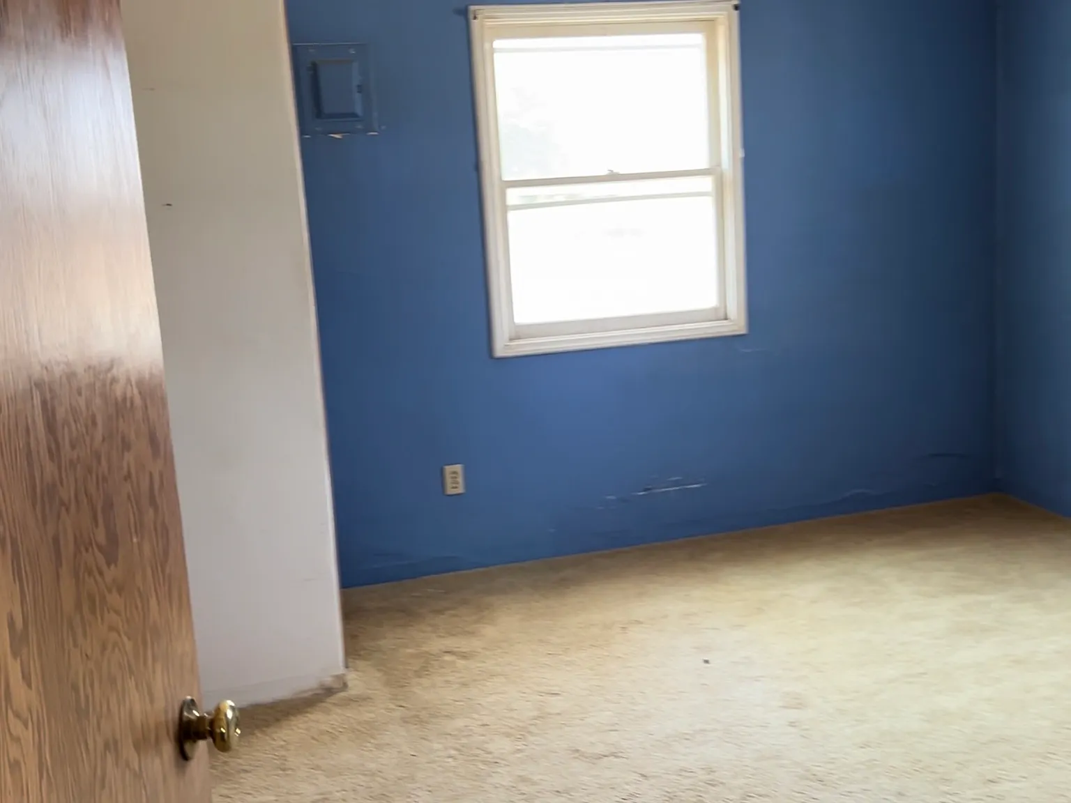 1 bed, 800 sqft, $600 — Photo 3