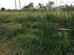 2nd image of 128 County Road 135
