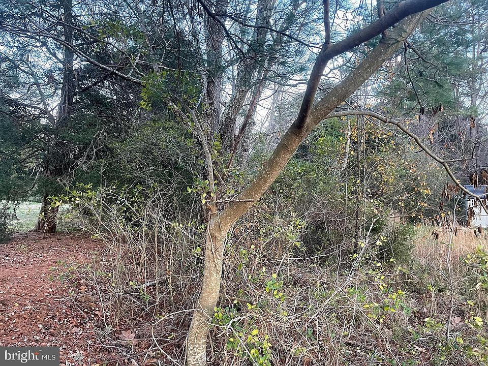2nd image of 2 Willow Brook Rd