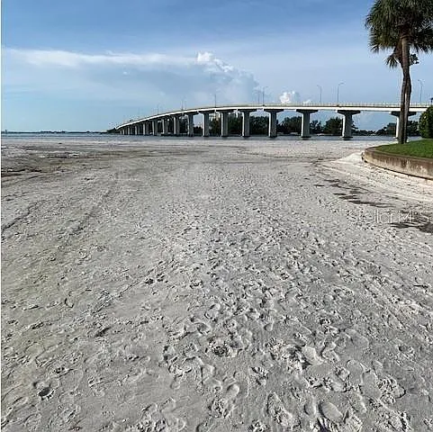 800 S Gulfview Blvd Photo 1