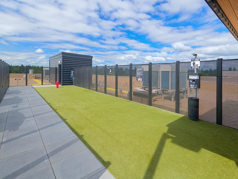 Angelo Tower dog run on the rooftop