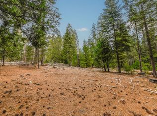 27627 Ashland Dr, Pioneer, CA 95666