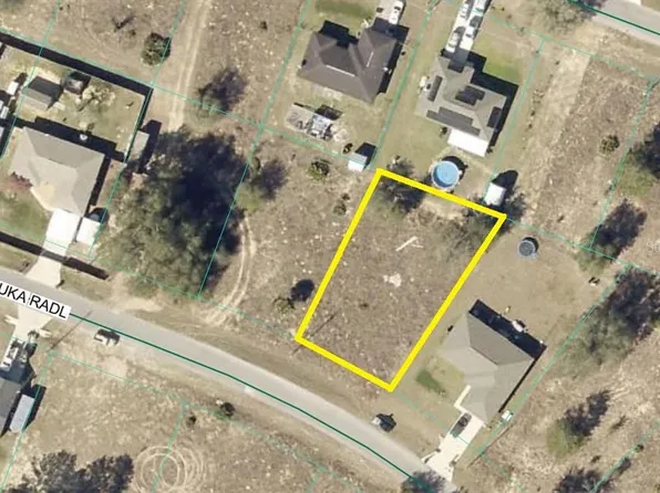 MALAUKA RADIAL LOT 11, OCKLAWAHA, FL 32179