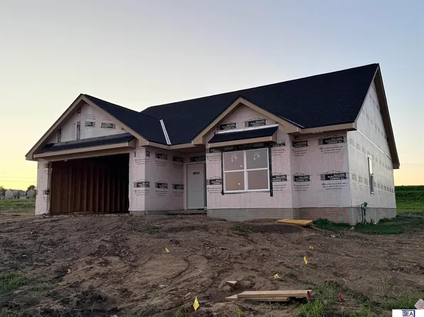 8910 Reed St, Papillion, NE 68046