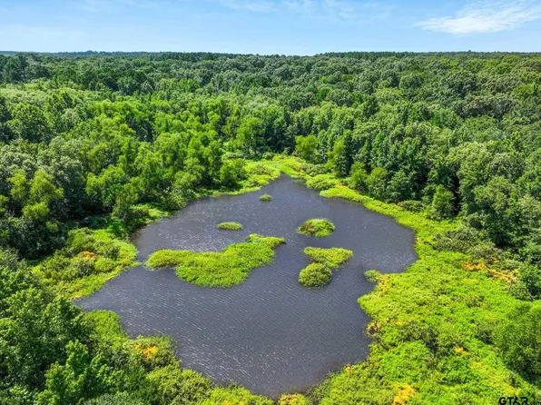 1987 County Road 3234, Quitman, TX 75783