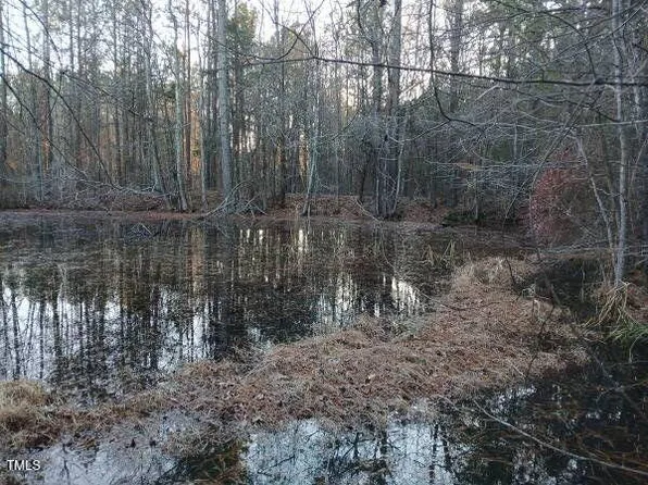 0 Bodie Currin Rd #1, Oxford, NC 27565