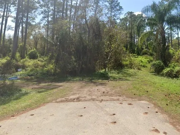 Hibiscus Avenue Lot #54, Paisley, FL 32767